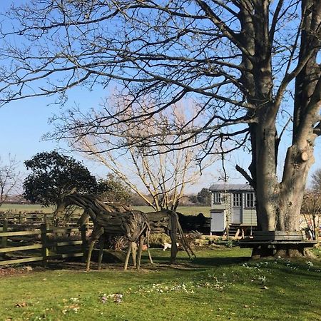 The Shepherd'S Hut @ Chichester Cottage Bagian luar foto