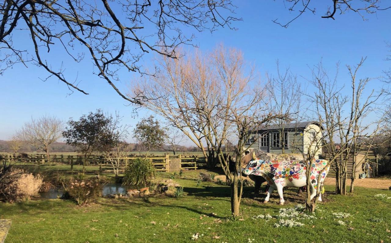 The Shepherd'S Hut @ Chichester Cottage Bagian luar foto