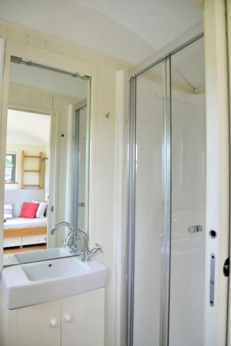 The Shepherd'S Hut @ Chichester Cottage Bagian luar foto