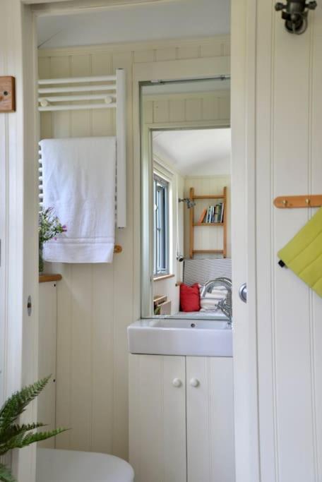 The Shepherd'S Hut @ Chichester Cottage Bagian luar foto
