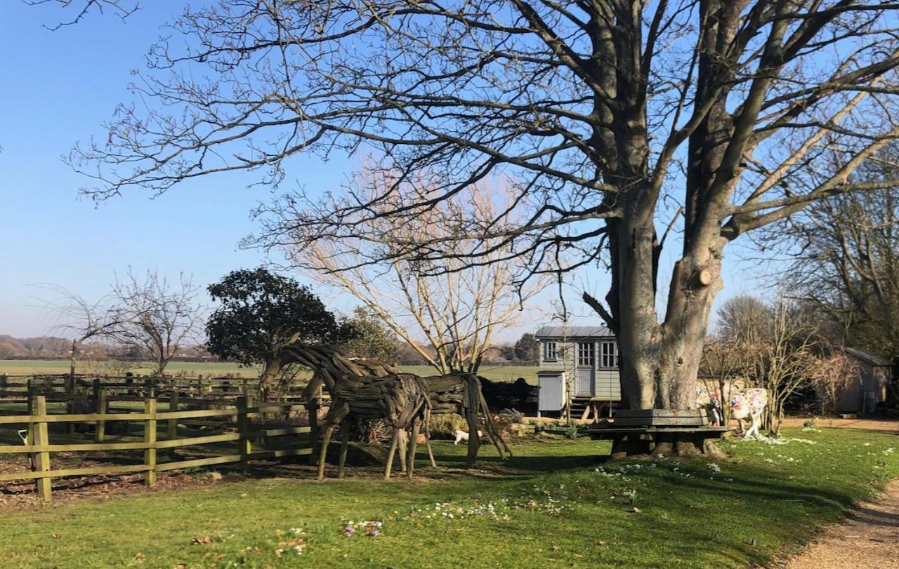 The Shepherd'S Hut @ Chichester Cottage Bagian luar foto